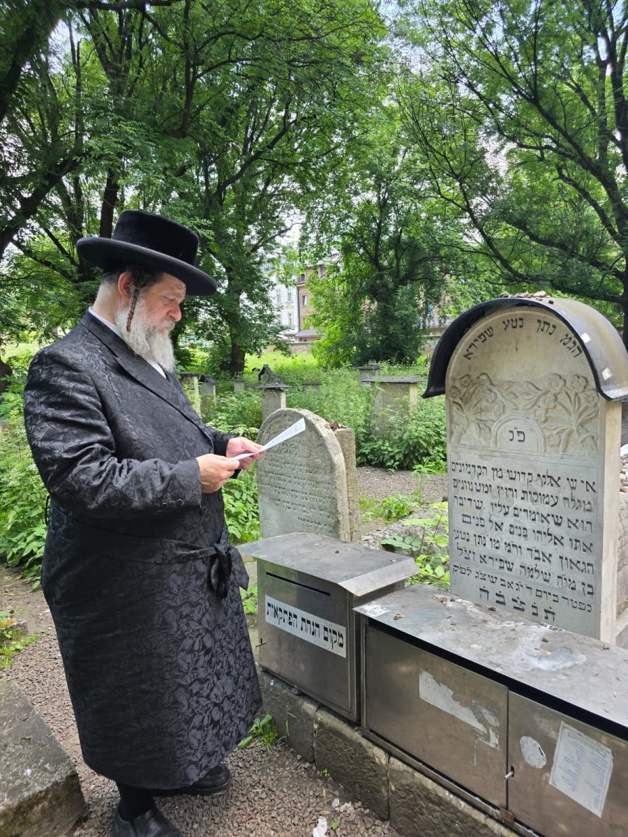 צילום: באדיבות המצלם