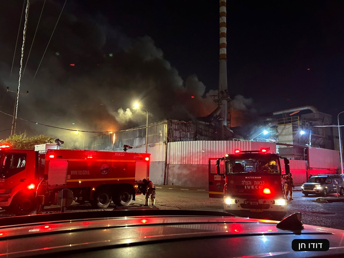 צילום: דודו חן