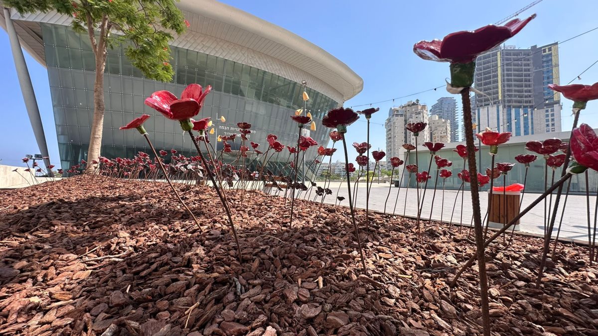 צילום שמואל דוד