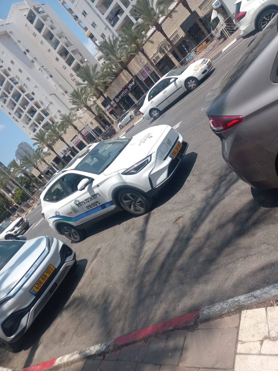 צילום: דוד פרטוש