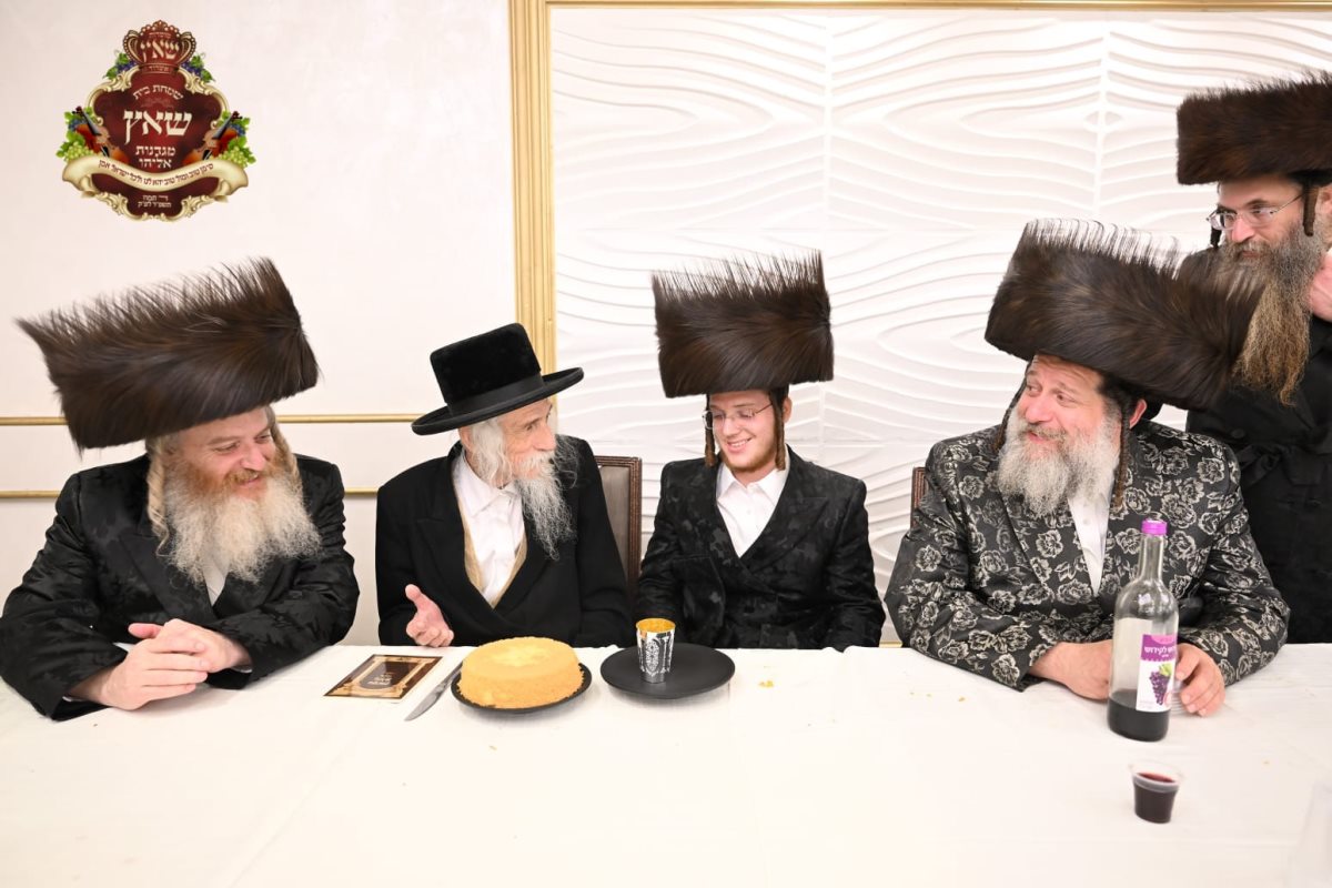 צילום: יוסי לוי