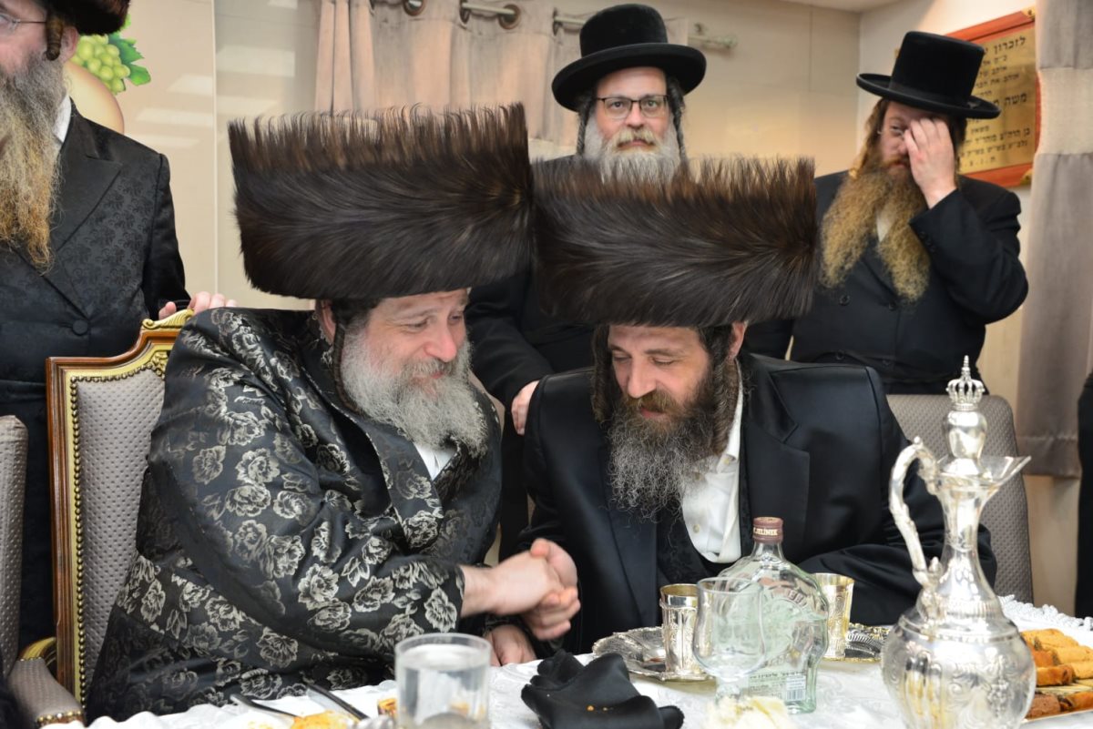 צילום: יוסי לוי