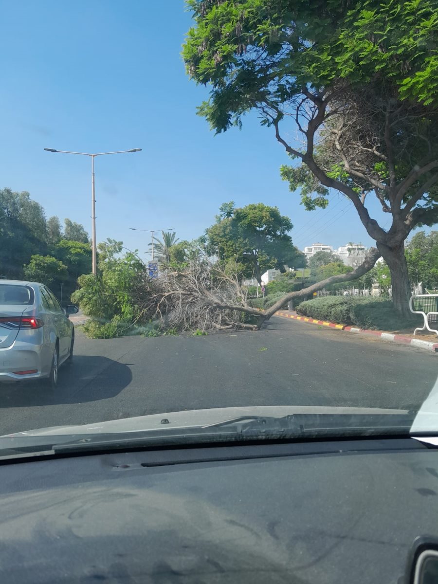 באדבות המצלם