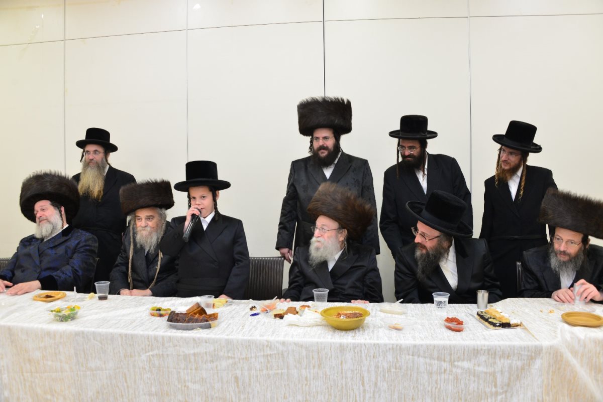 צילום: יוסי לוי