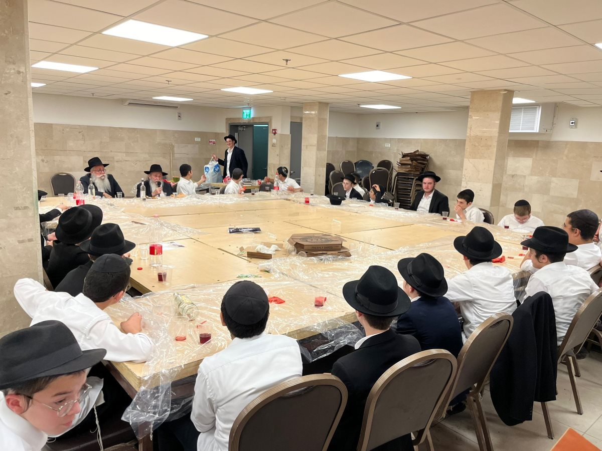 צילום: א. מיכאלי