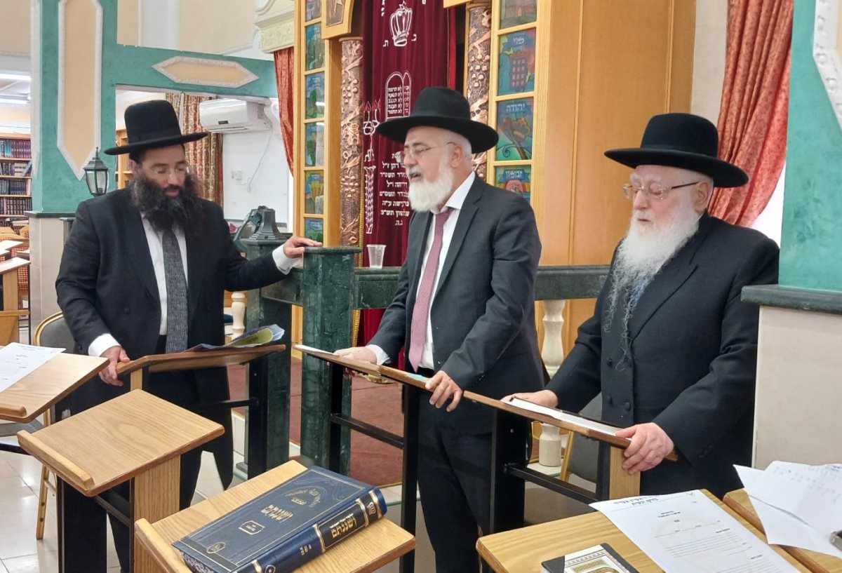 צילום: א. מיכאלי