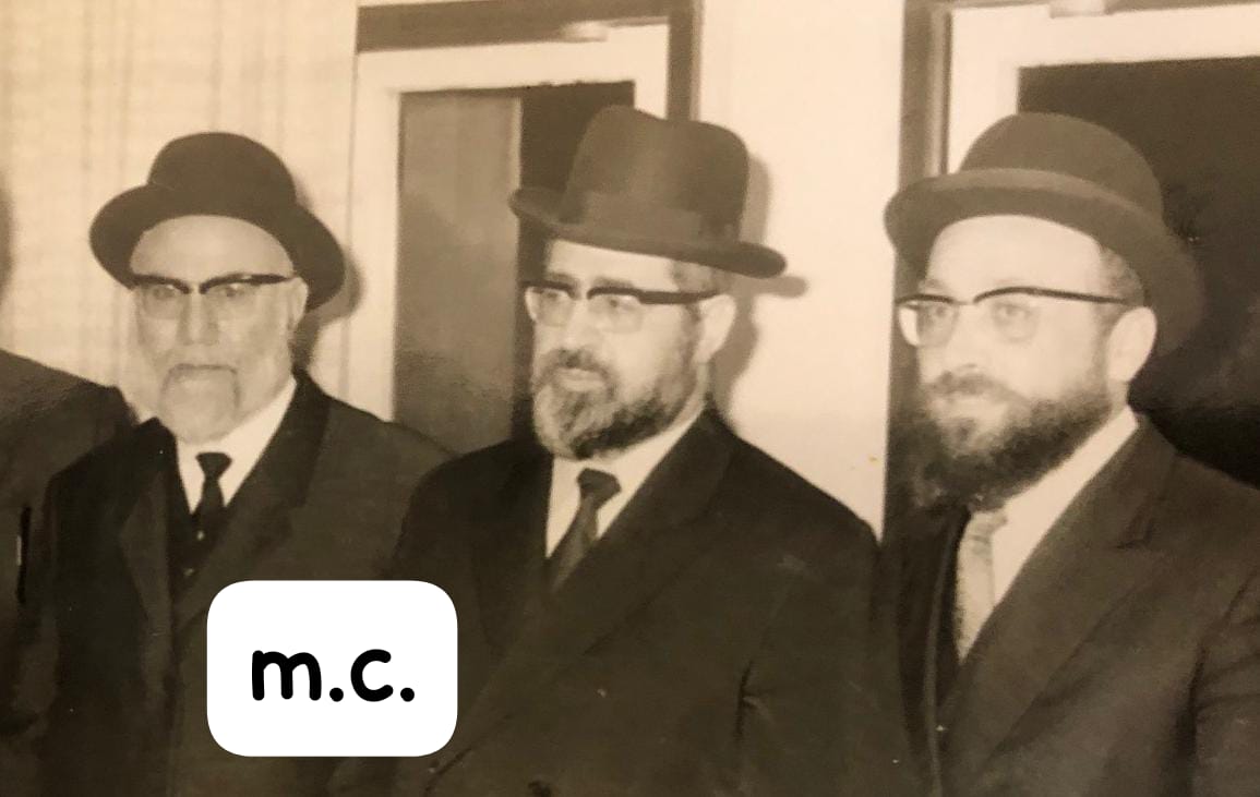 צילום: א. מיכאלי