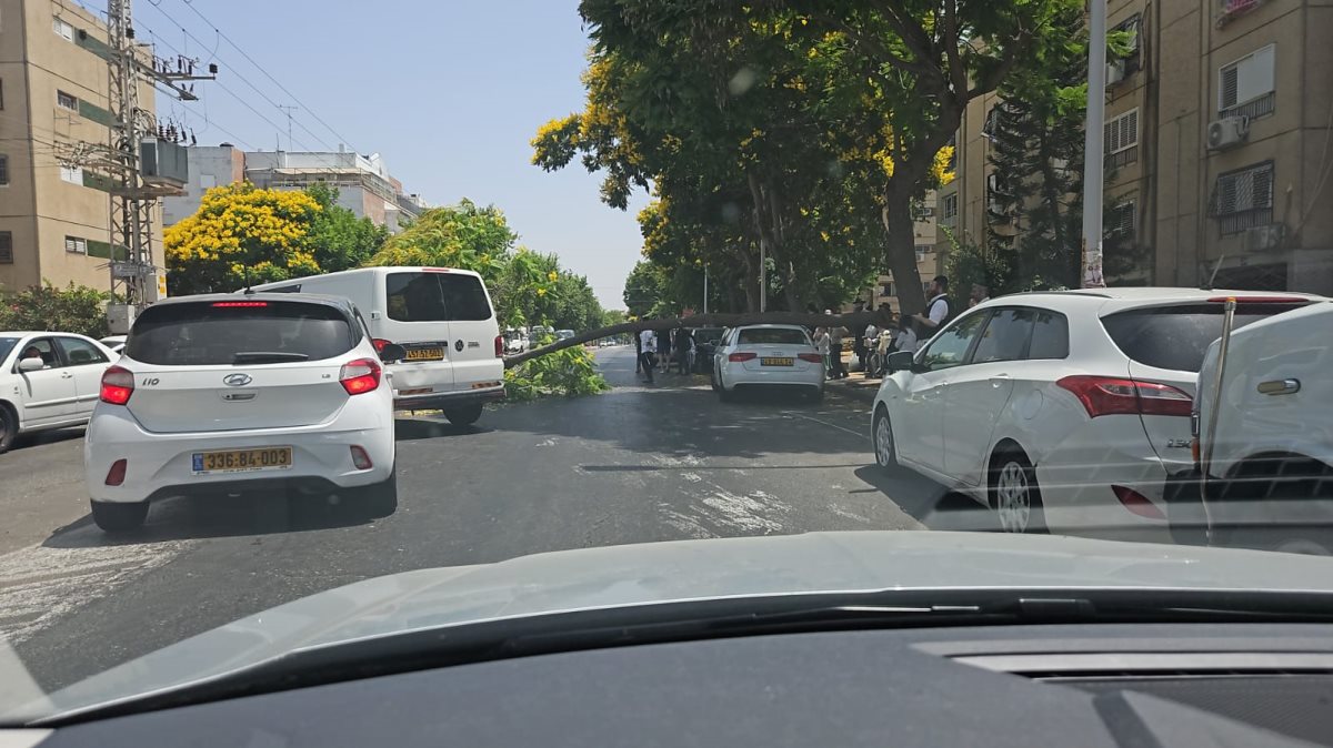 צילום: באדיבות המצלם