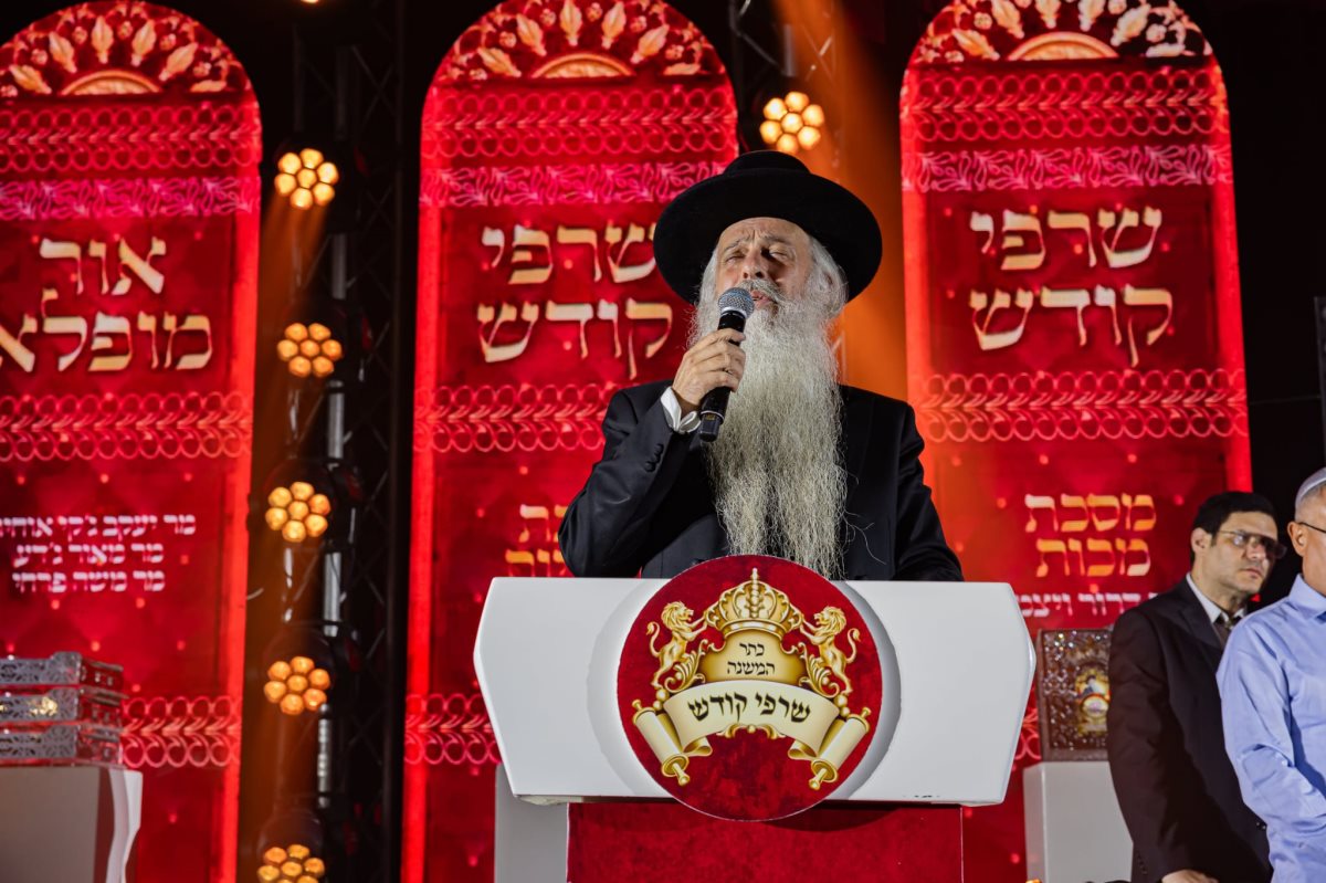 צילום: א. מיכאלי