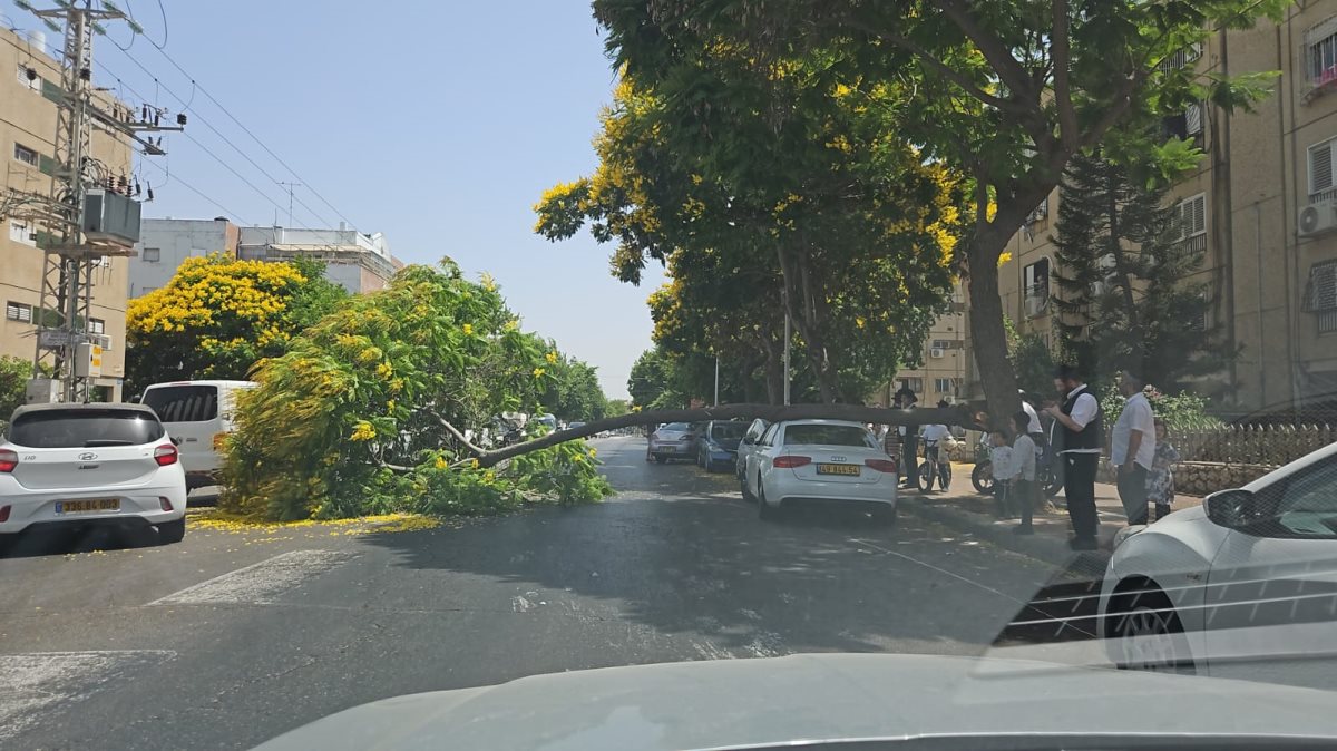 צילום: באדיבות המצלם