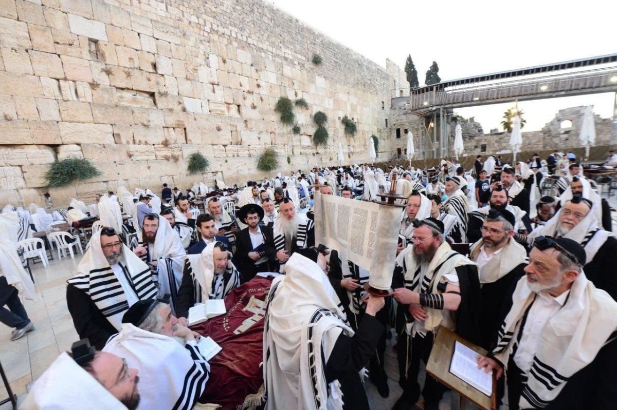 הכותל המערבי. שוקי לרר