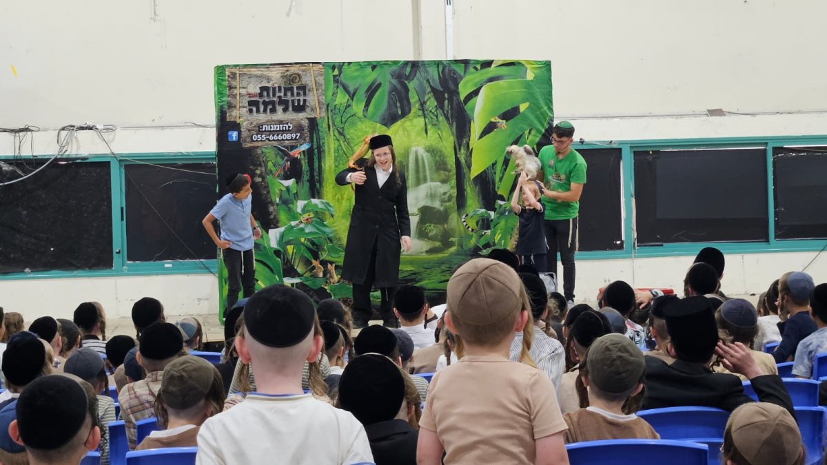 צילום: באדיבות המצלם