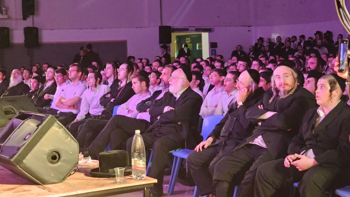 קומזיץ. צילום: א. ל.