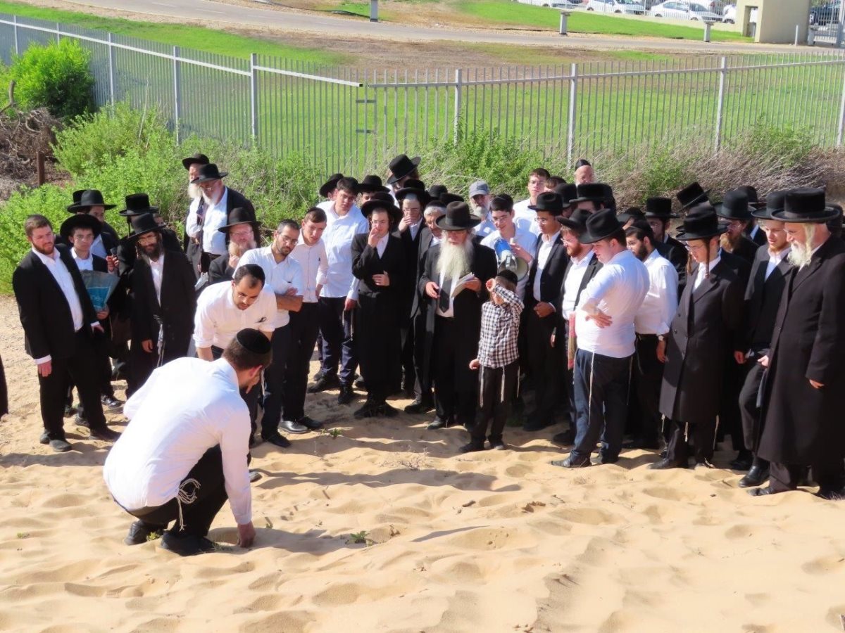 סיור דיני עירובין עם הרב קלמנוביץ. א. מיכאלי