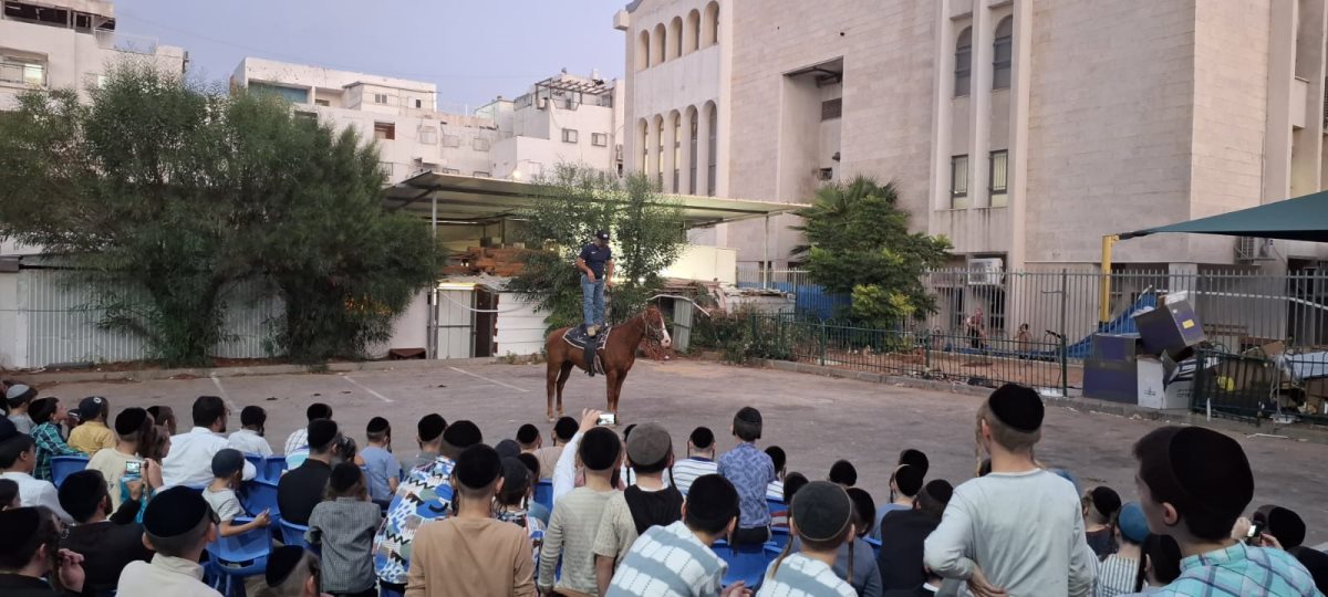 מופע סוסים. מעגלים
