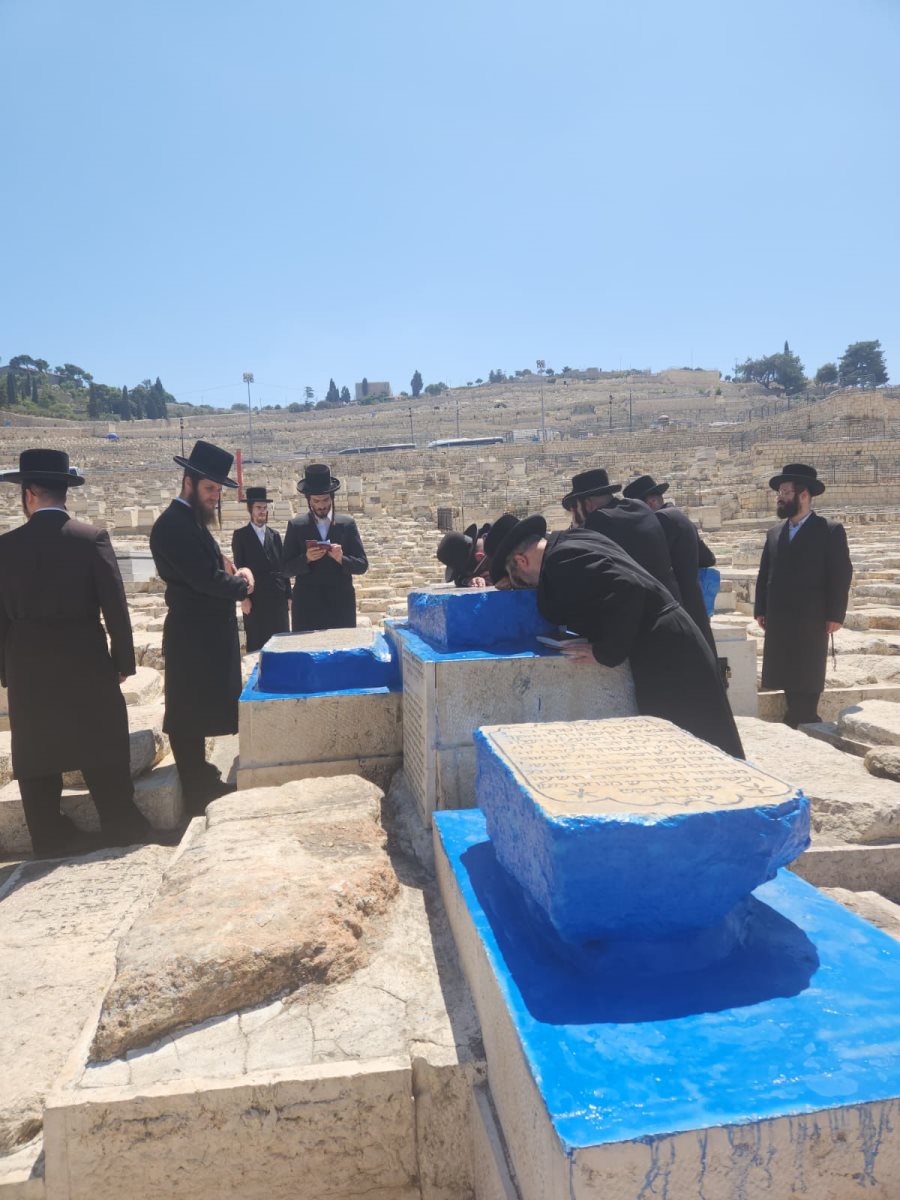 צילום: באדיבות המצלם