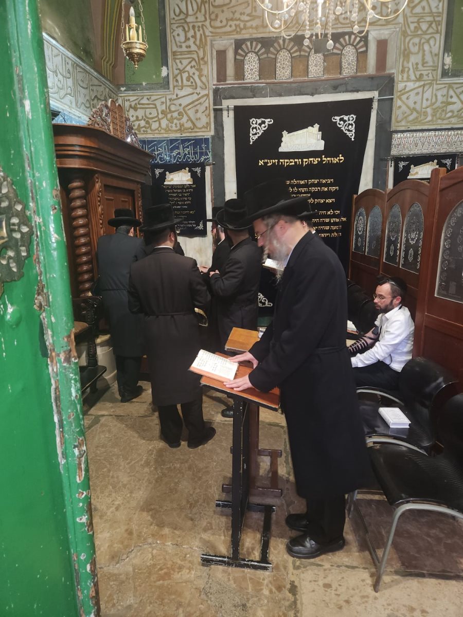 צילום: באדיבות המצלם