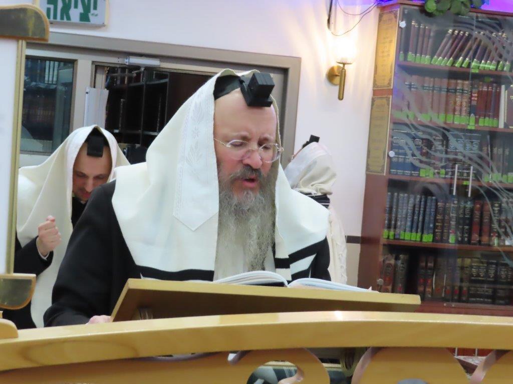 צילום: א. מיכאלי