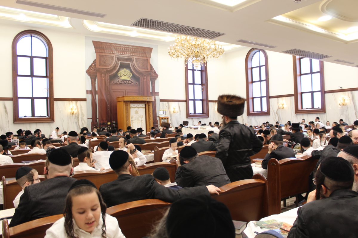 שיעורי תורה מעגלים. צילום: מעגלים