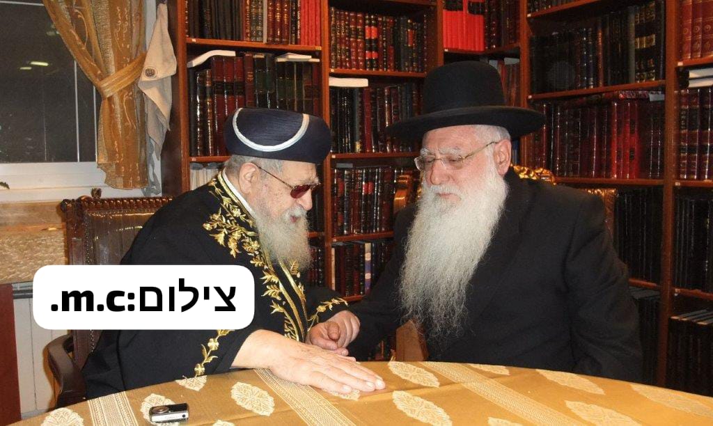 צילום: א' מיכאלי