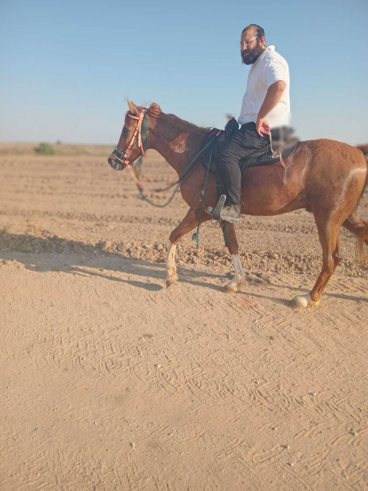 סוס ורוכבו. הרשלר ברכיבה