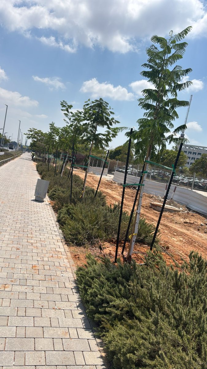 צילום: עירית אשדוד