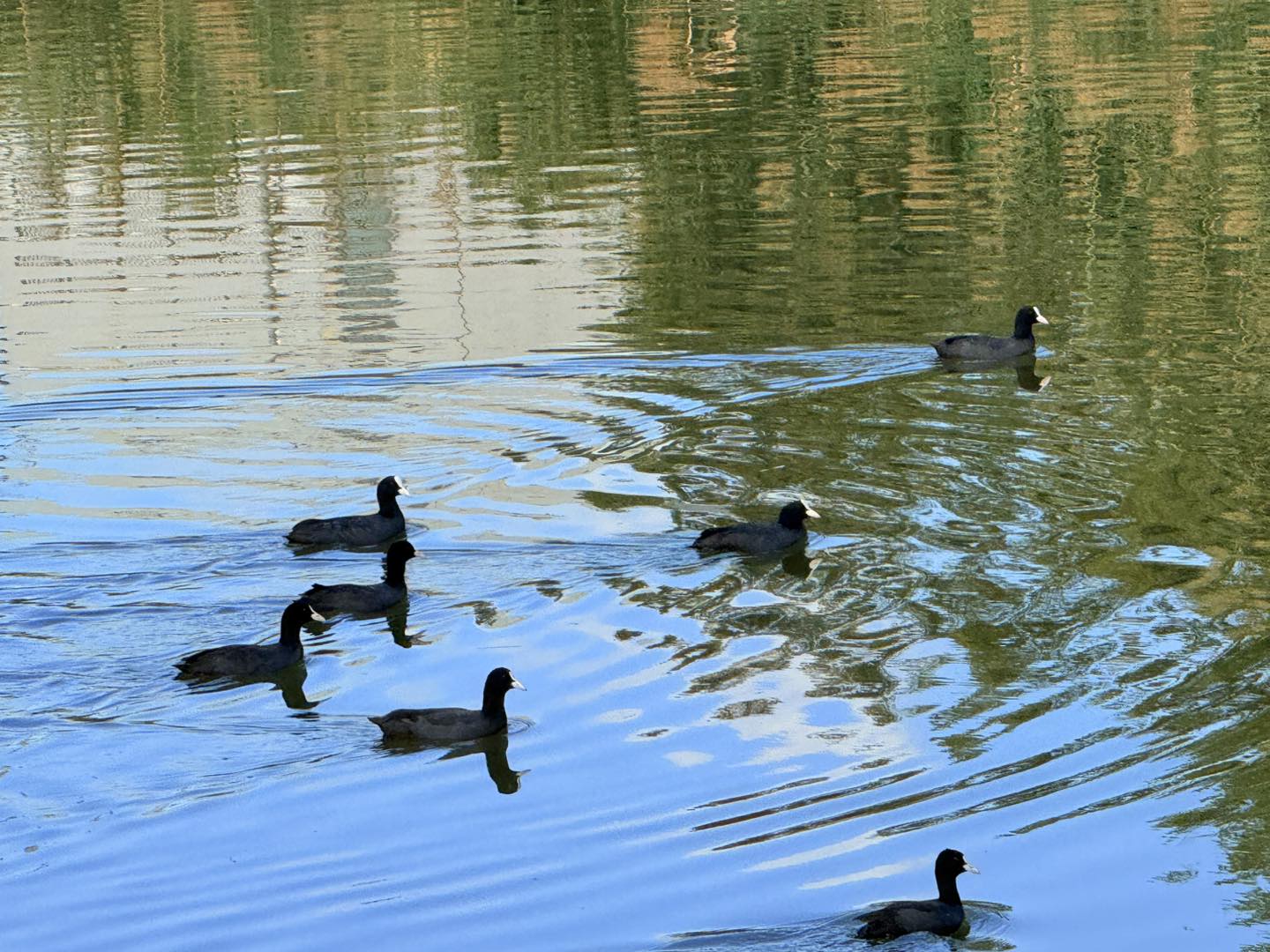 נחל לכיש. מתוך דף הפייסבוק של עירית אשדוד