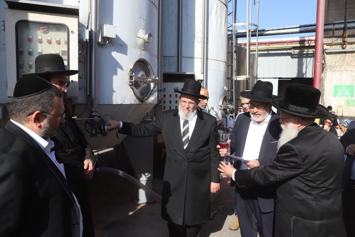 הפרשת תרומ יקבי בנימינה. דוד סילברמן