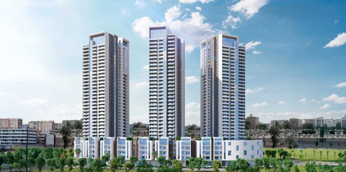 מרגניות בפארק