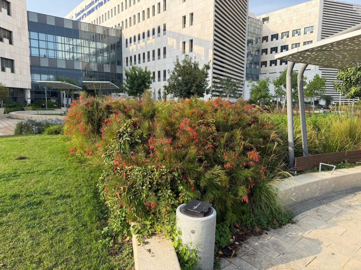 הגן באסותא אשדוד