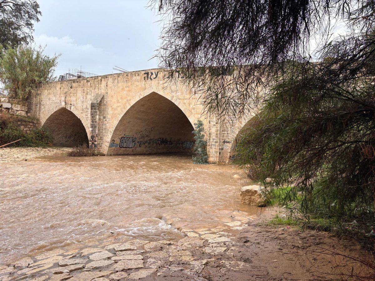 נחל לכיש בבוקר חורפי (אשדוד נט)