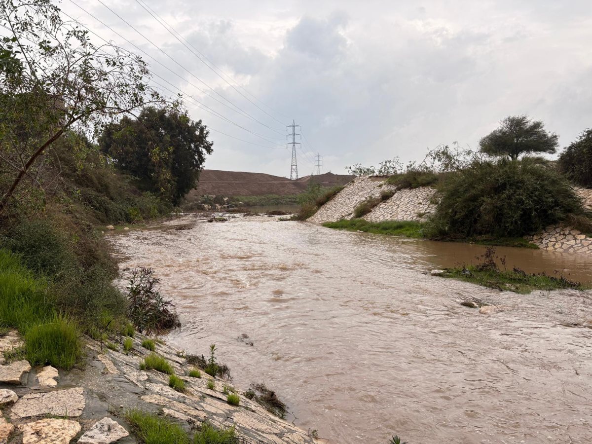 נחל לכיש בבוקר חורפי (אשדוד נט)