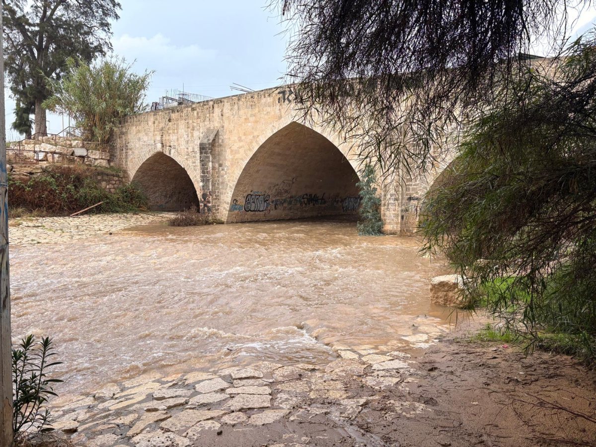 נחל לכיש בבוקר חורפי באשדוד (אשדוד נט)
