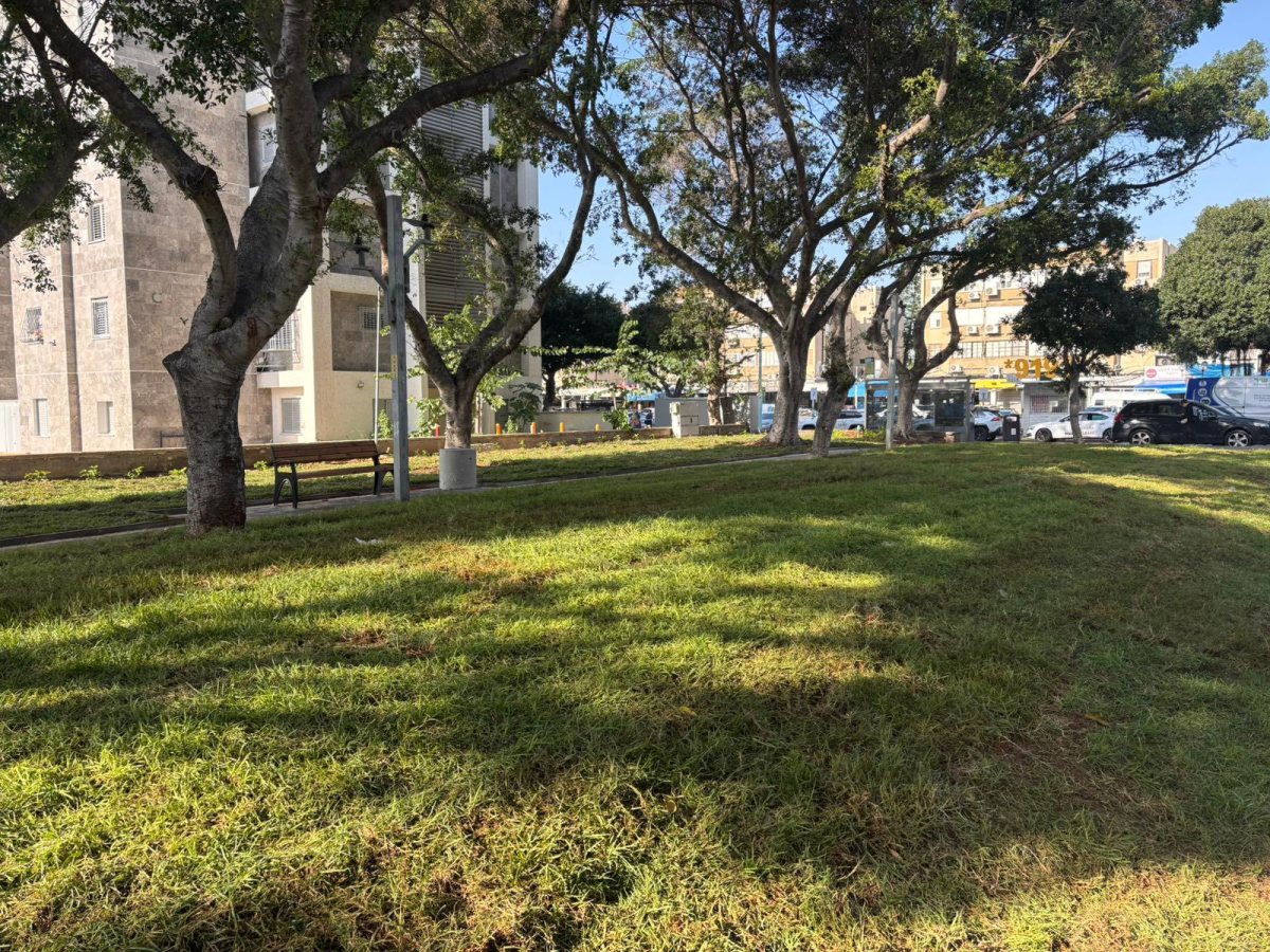 צילום: עירית אשדוד