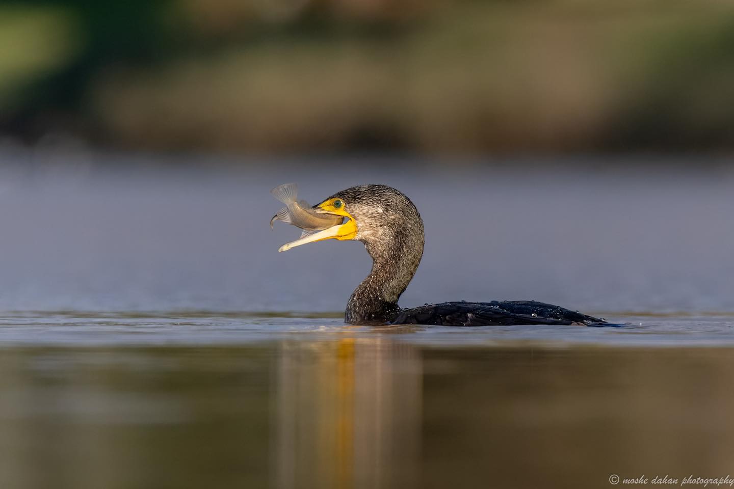 צילום: דף הפייסבוק של עיריית אשדוד
