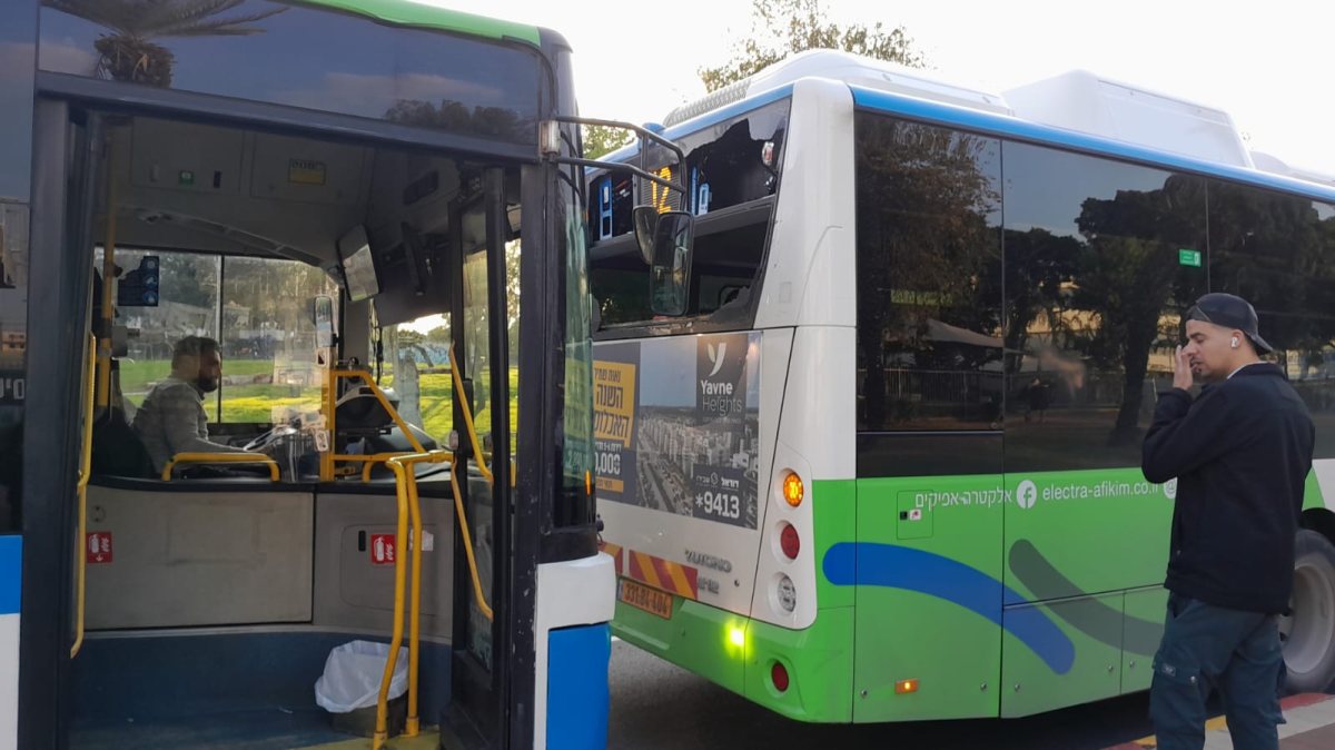 שני האוטובוסים שהתנגשו. מלי