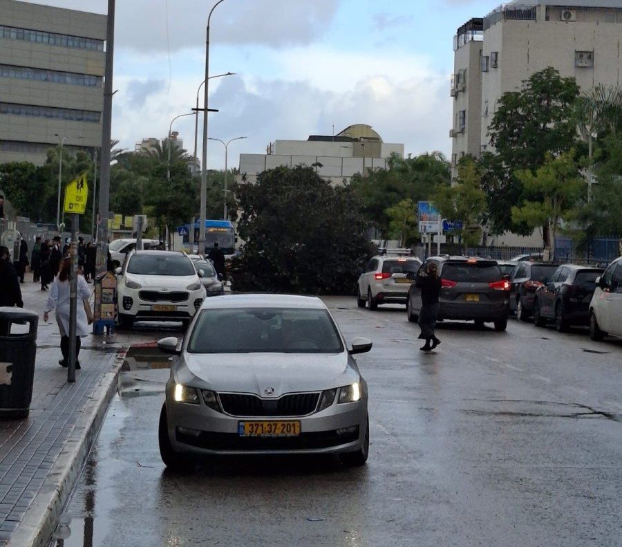 העץ שקרס. צילום: רץ ברשת ומתפרסם על פי סעיף 27א בחוק זכויות יוצרים