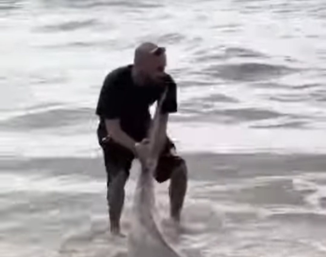 תיעוד רשתות חברתיות 