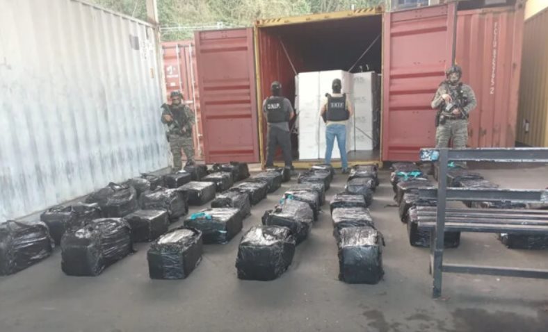 צילום: א. מיכאלי