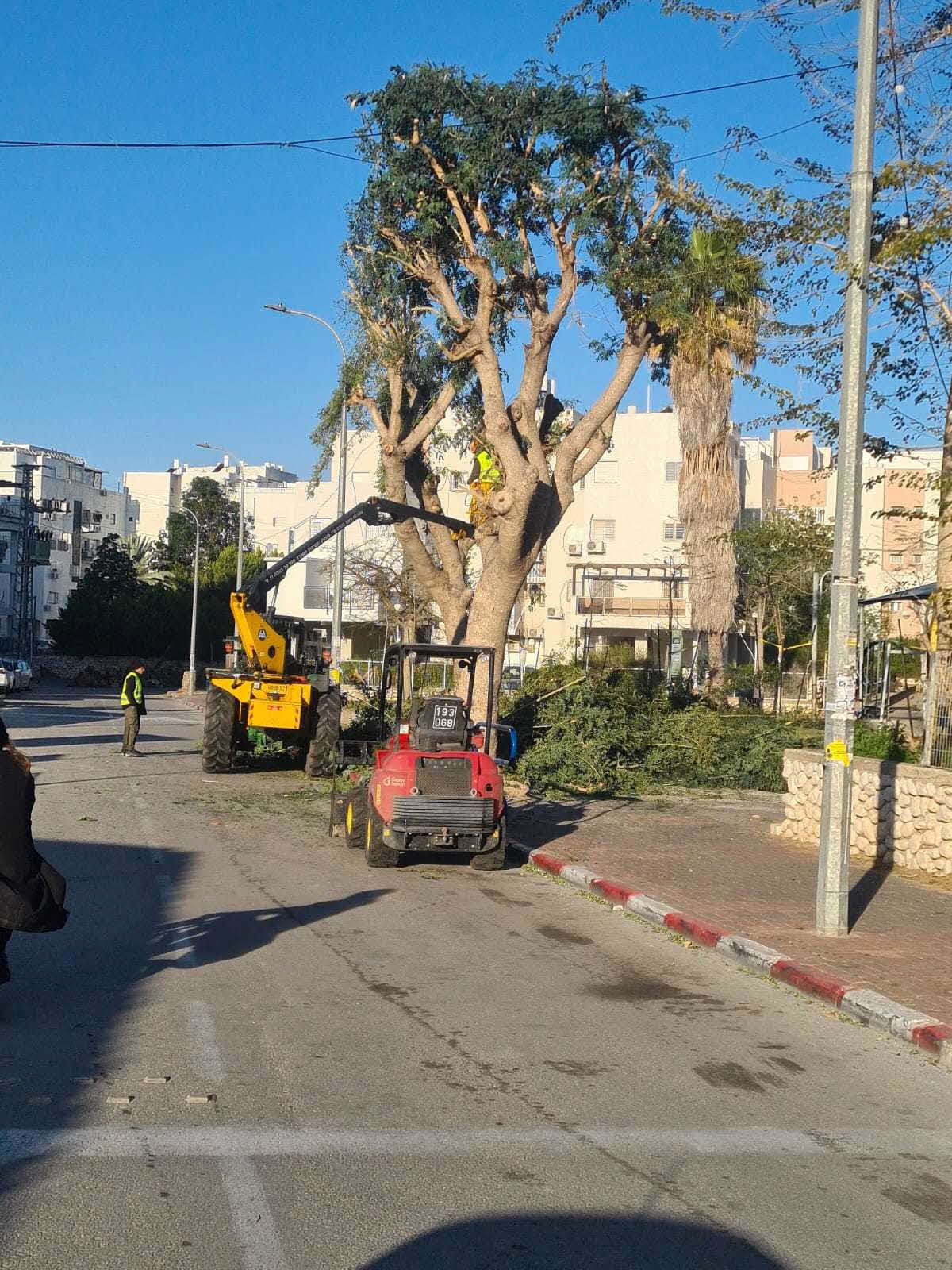 כריתת העצים ברחוב בעל הנס. מינהלת רובע ז'