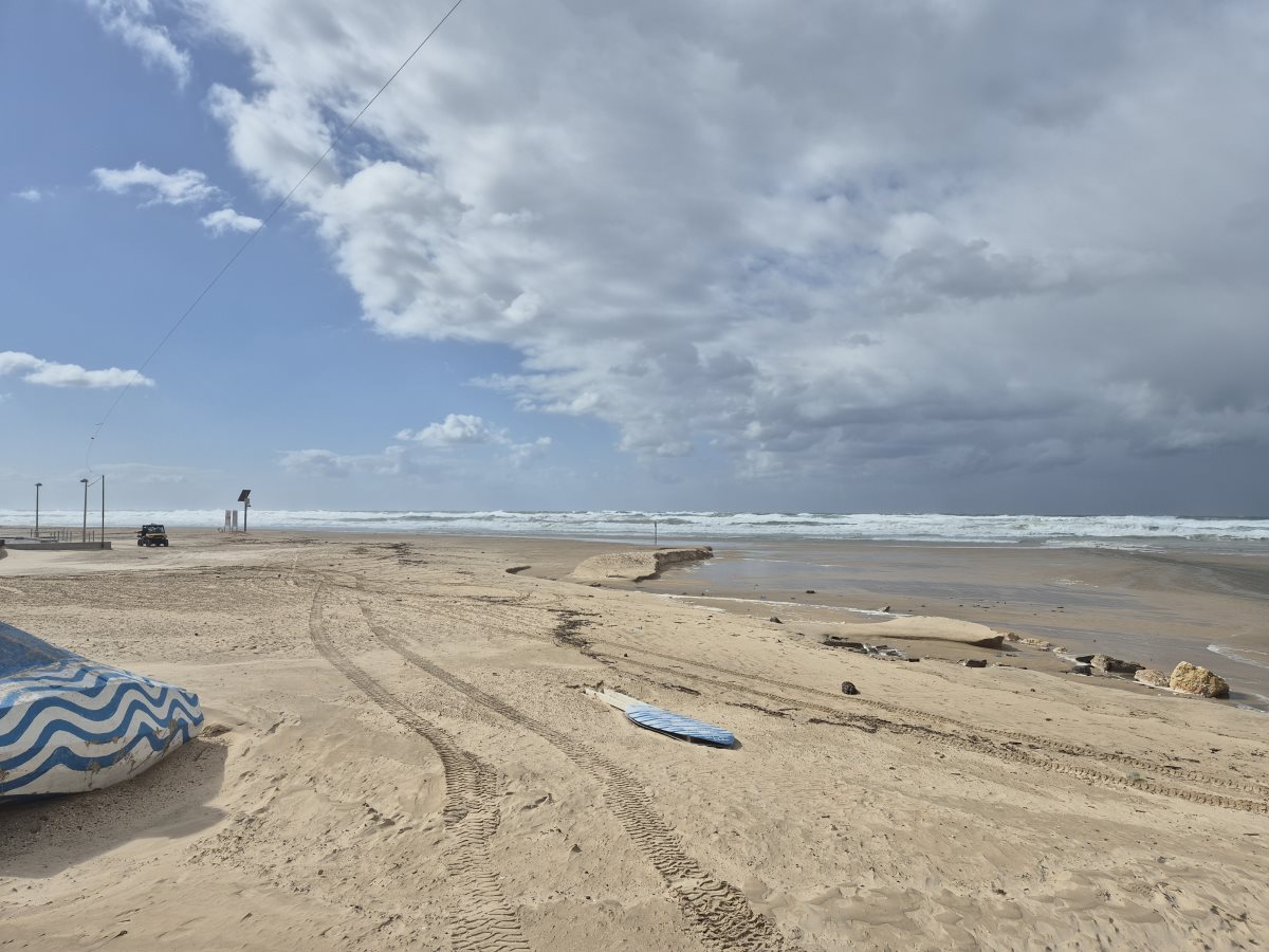 צילום אלדה נתנאל 