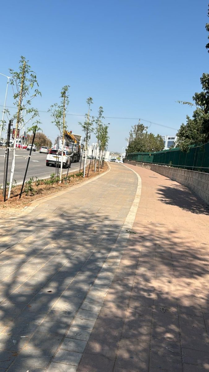 צילום: עירית אשדוד