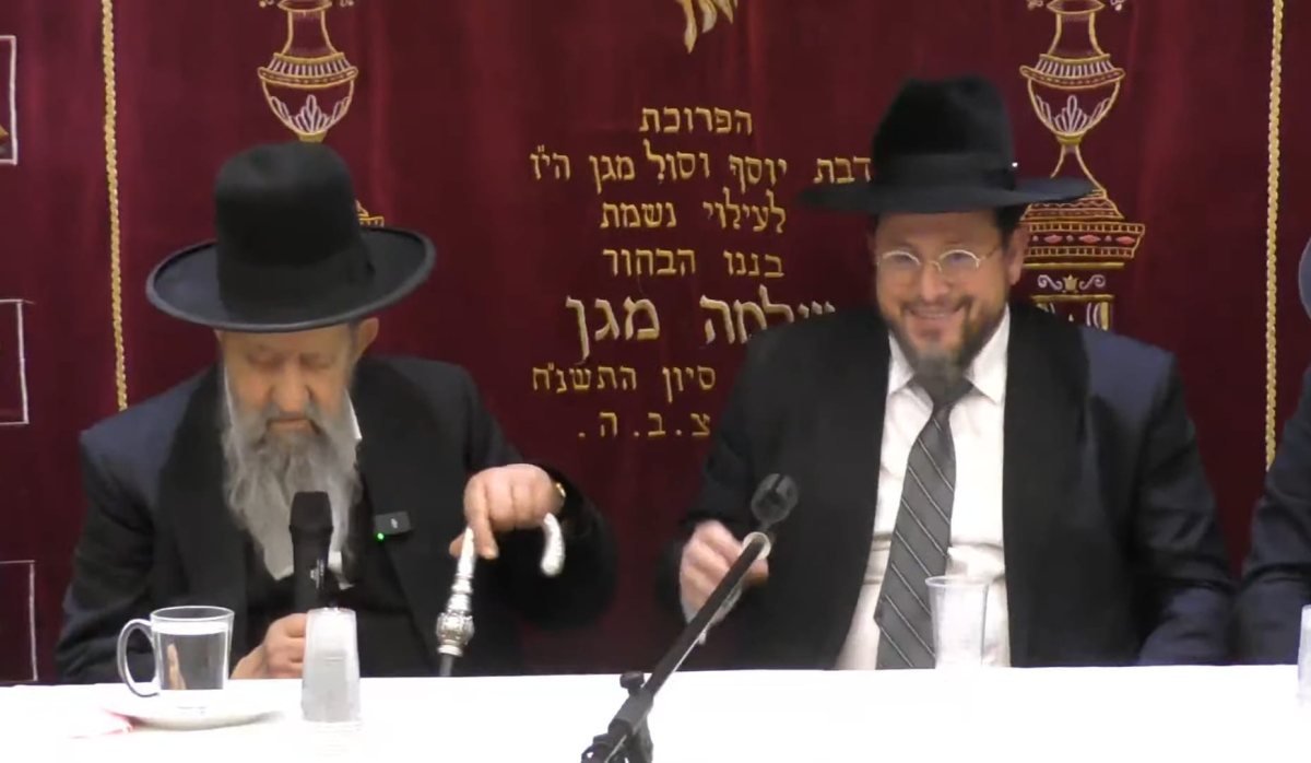 צילום: א. מיכאלי