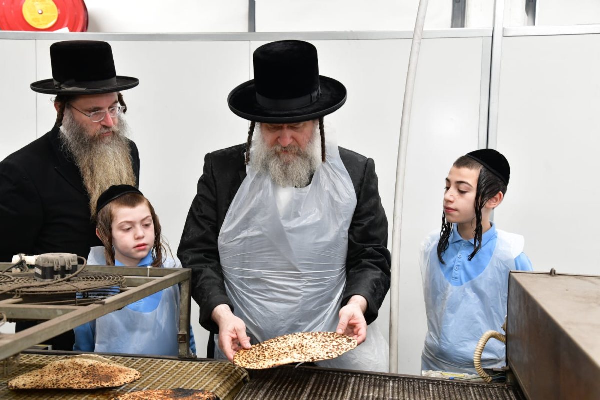 צילום: יוסי לוי