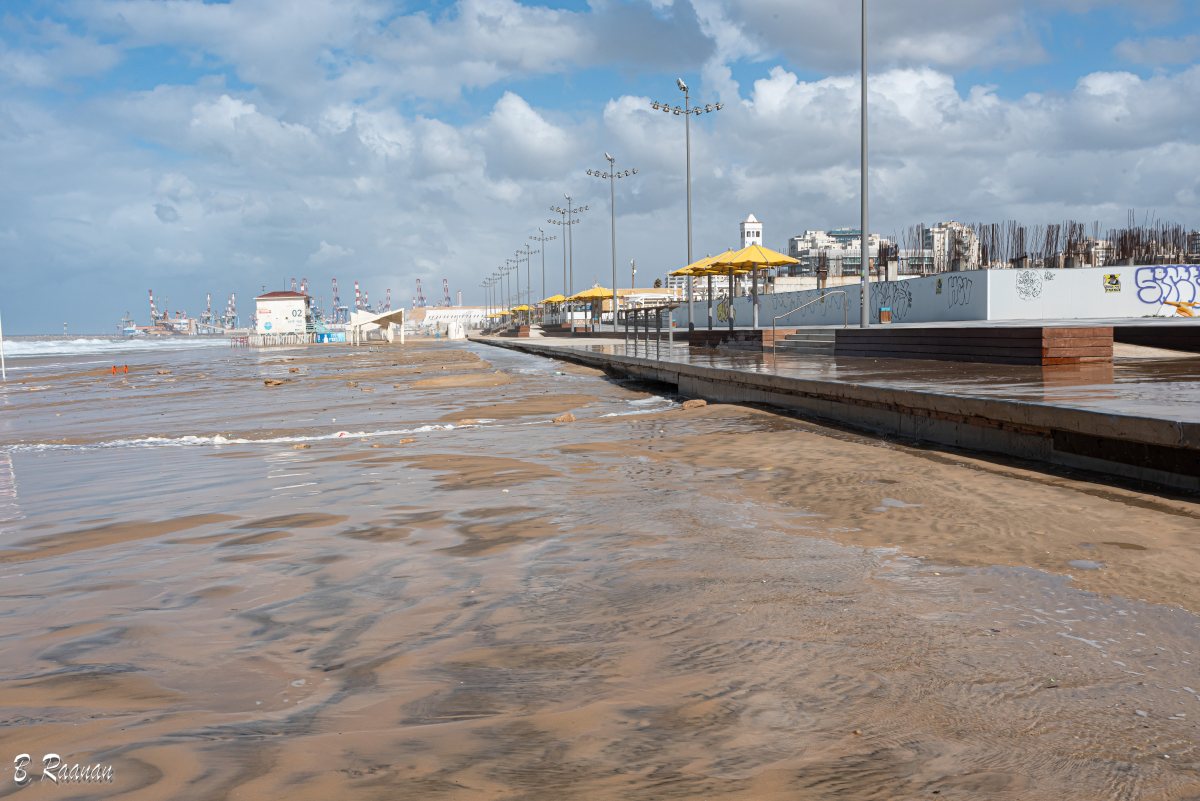 צילום: בועז רענן