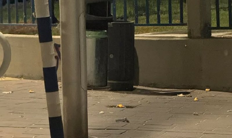 התפוזים שהושלכו על הצעירים מגובה רב