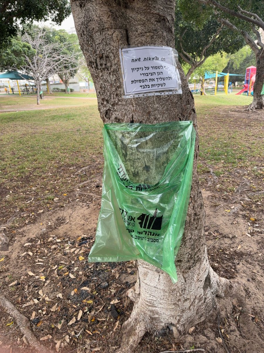 צילום: עירית אשדוד