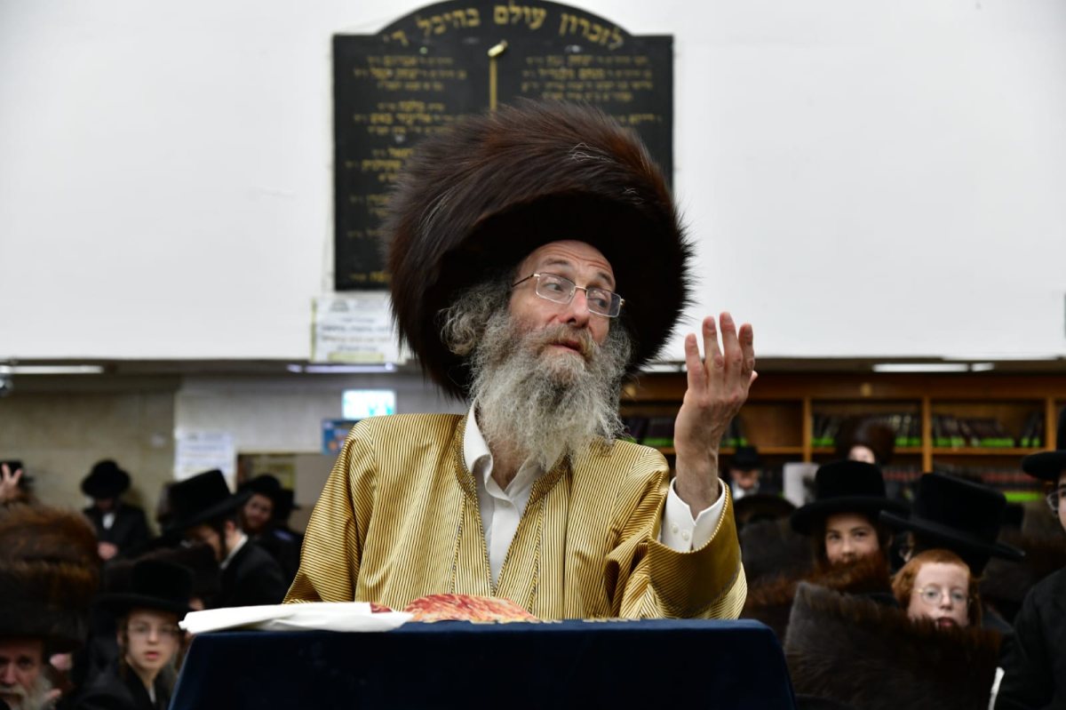 צילום: יוסי לוי