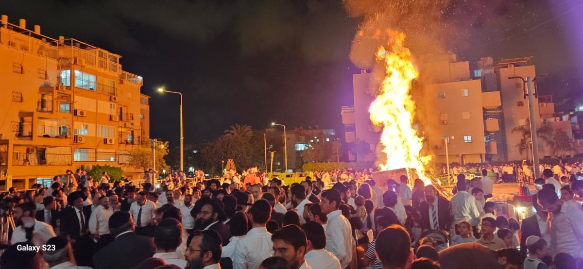 צילום: א. מיכאלי