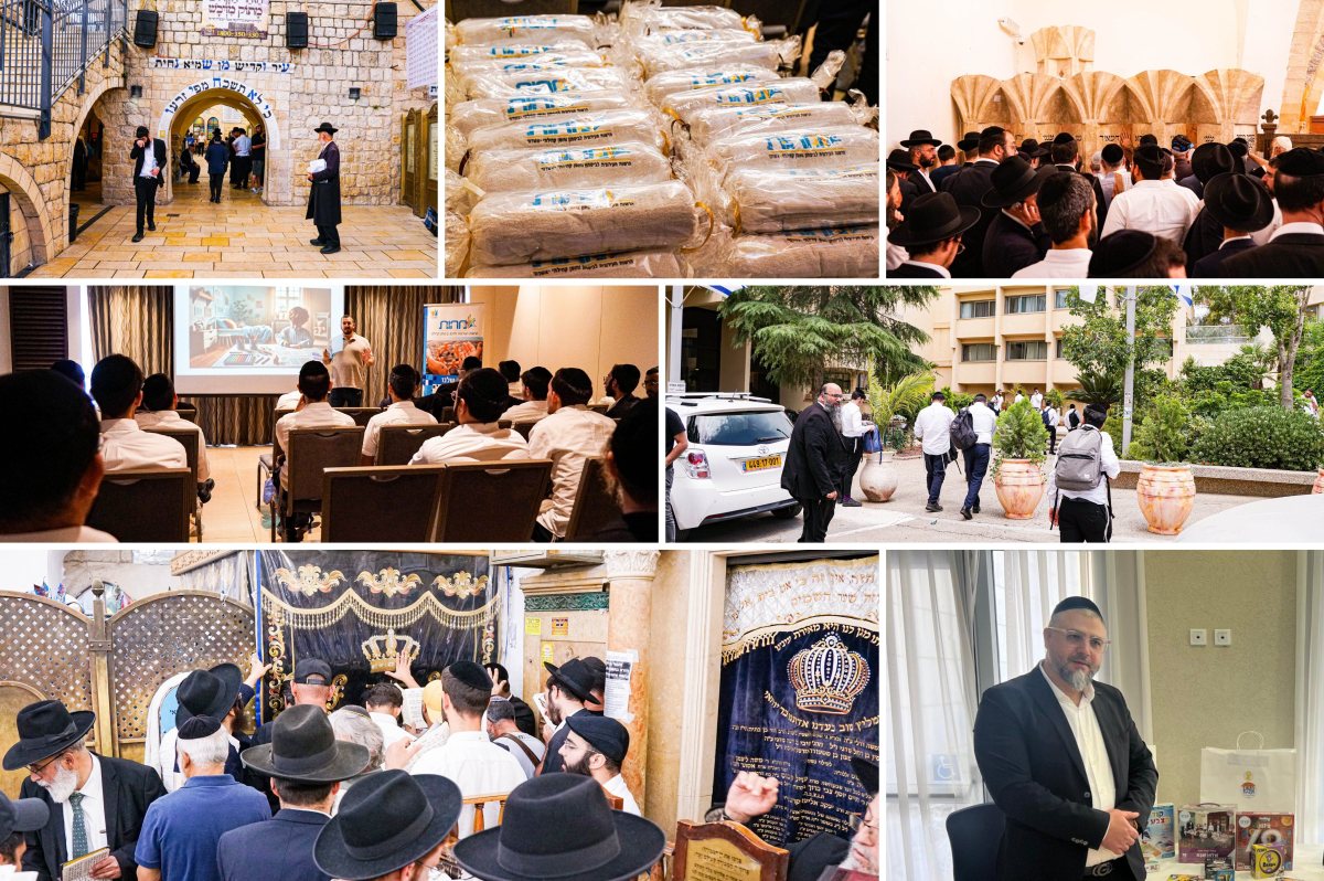 מסע מהות לצפון